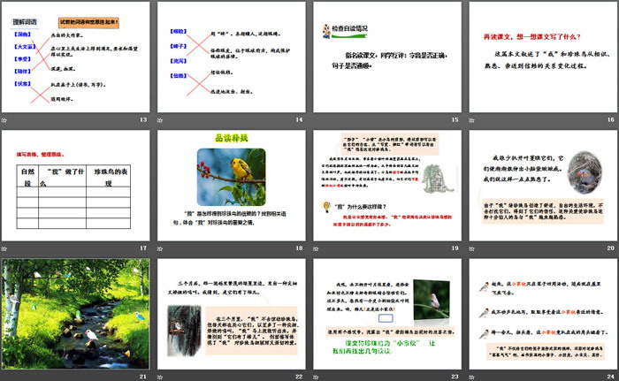 图片[3]-《珍珠鸟》PPT-第一PPT