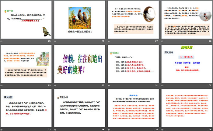图片[4]-《珍珠鸟》PPT-第一PPT