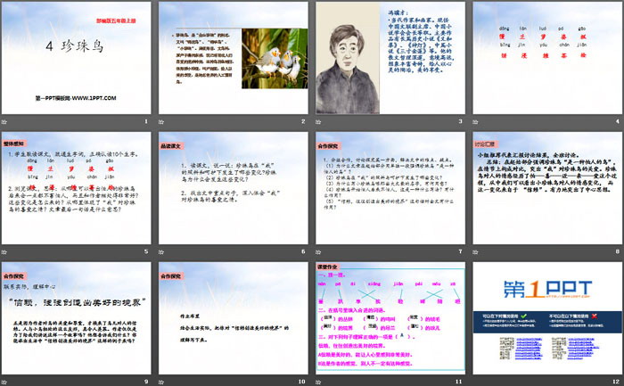 图片[2]-《珍珠鸟》PPT教学课件-第一PPT