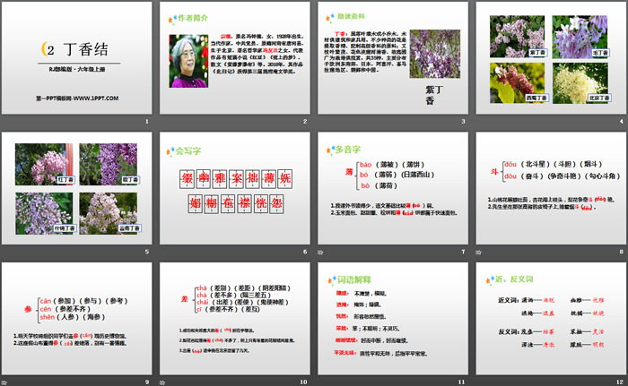 图片[2]-《丁香结》PPT-第一PPT