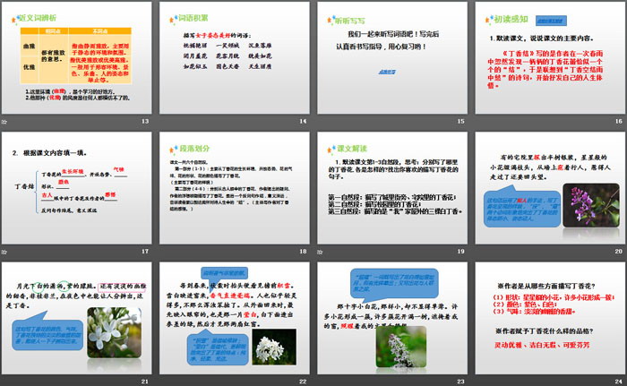 图片[3]-《丁香结》PPT-第一PPT