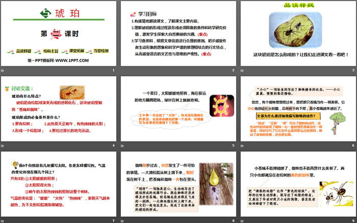 图片[2]-《琥珀》PPT(第二课时)-第一PPT