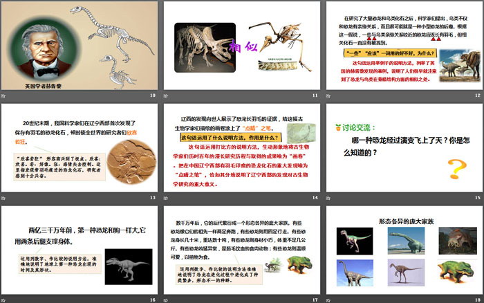 图片[3]-《飞向蓝天的恐龙》PPT(第二课时)-第一PPT