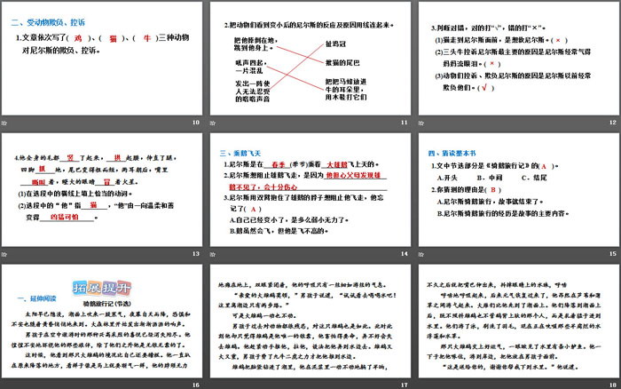 图片[3]-《骑鹅旅行记》PPT下载-第一PPT