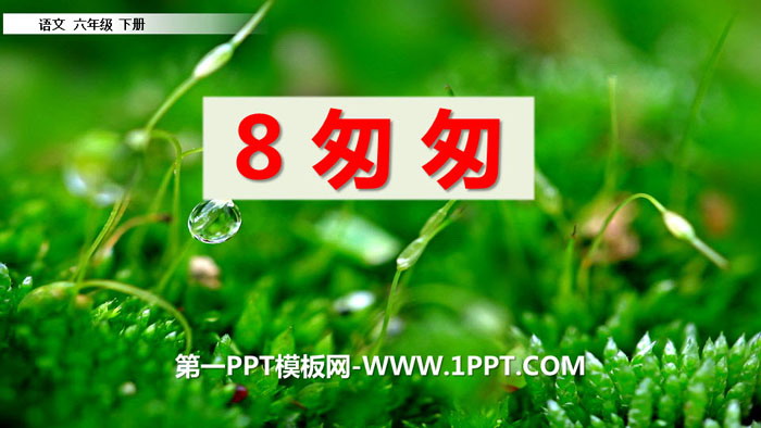 图片[1]-《匆匆》PPT免费下载-第一PPT