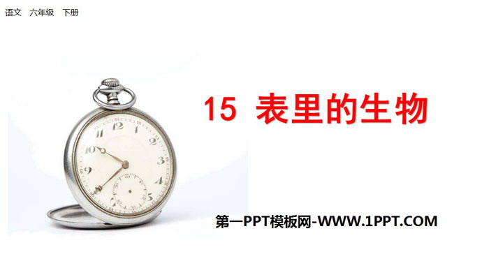 图片[1]-《表里的生物》PPT-第一PPT
