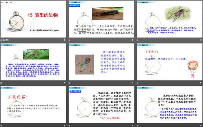 图片[2]-《表里的生物》PPT-第一PPT