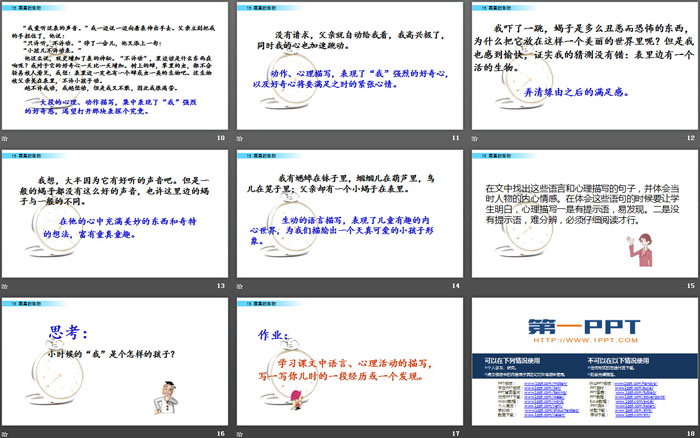 图片[3]-《表里的生物》PPT-第一PPT