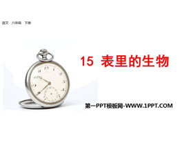 《表里的生物》PPT-第一PPT