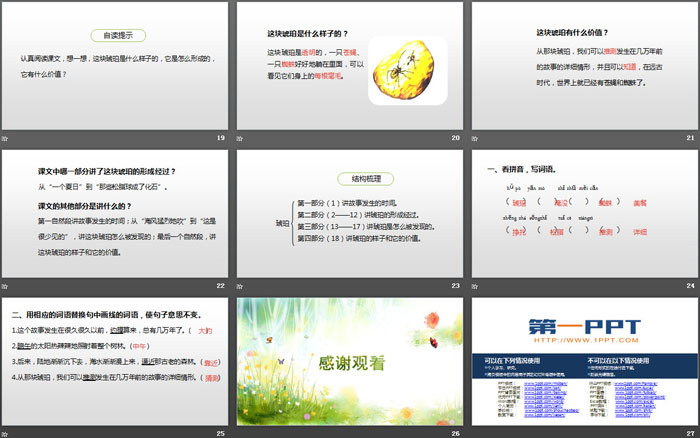 图片[4]-《琥珀》PPT(第1课时)-第一PPT