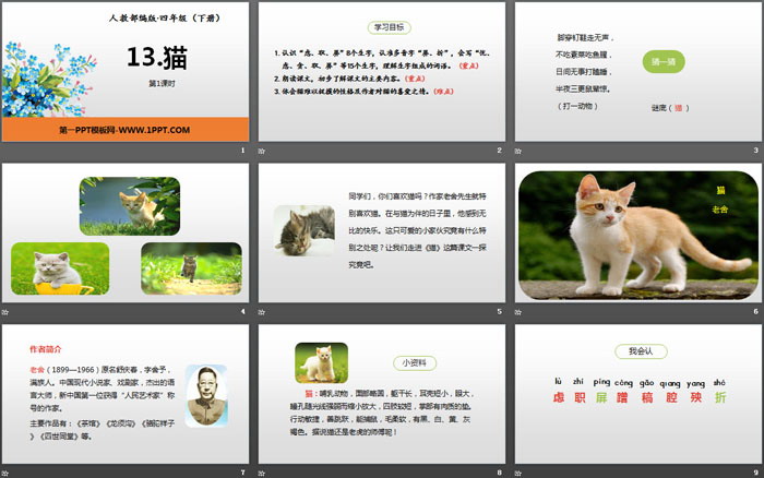 图片[2]-《猫》PPT(第1课时)-第一PPT