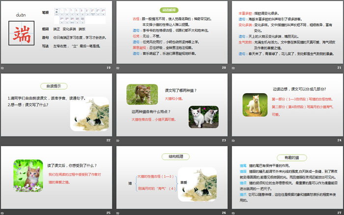 图片[4]-《猫》PPT(第1课时)-第一PPT