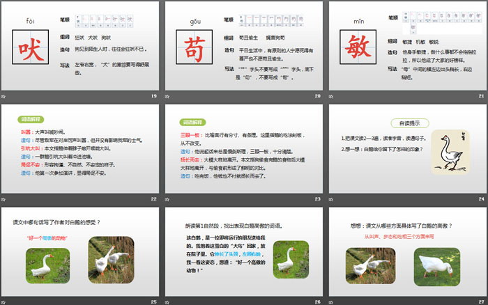 图片[4]-《白鹅》PPT(第1课时)-第一PPT