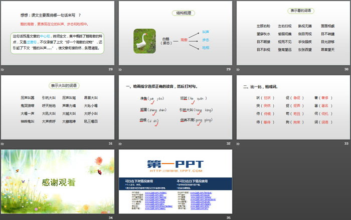图片[5]-《白鹅》PPT(第1课时)-第一PPT