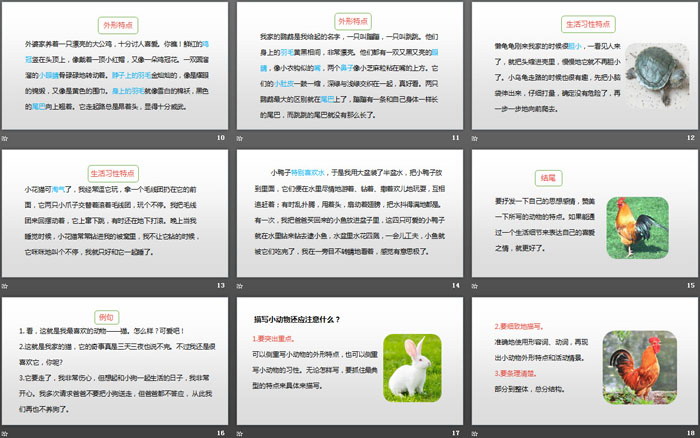 图片[3]-《我的动物朋友》习作PPT(第1课时)-第一PPT
