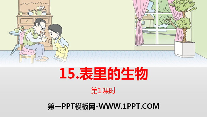 图片[1]-《表里的生物》PPT(第1课时)-第一PPT