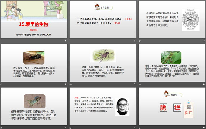 图片[2]-《表里的生物》PPT(第1课时)-第一PPT