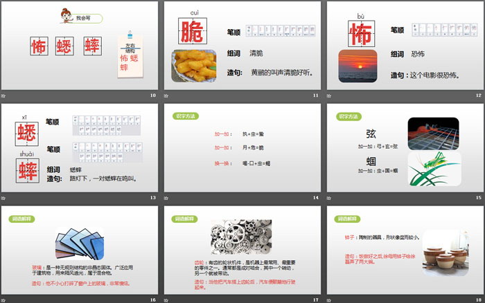 图片[3]-《表里的生物》PPT(第1课时)-第一PPT