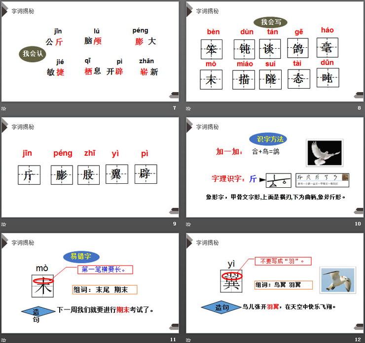图片[3]-《飞向蓝天的恐龙》PPT课件免费下载-第一PPT