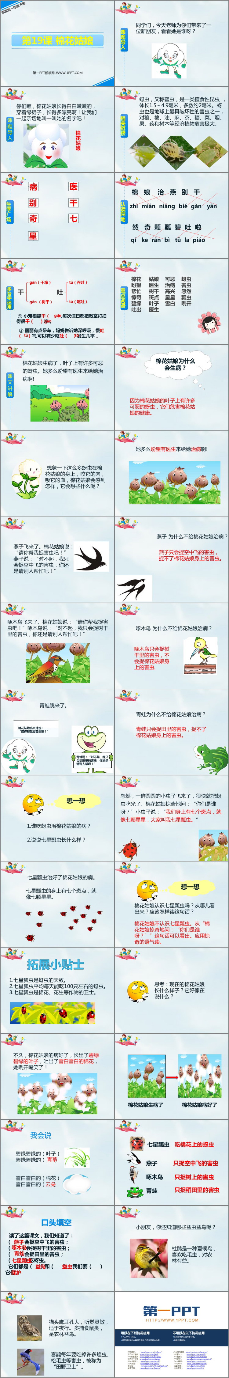 图片[2]-《棉花姑娘》PPT免费下载-第一PPT