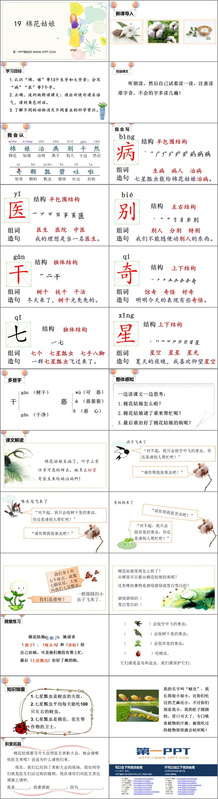 图片[2]-《棉花姑娘》PPT优质课件-第一PPT