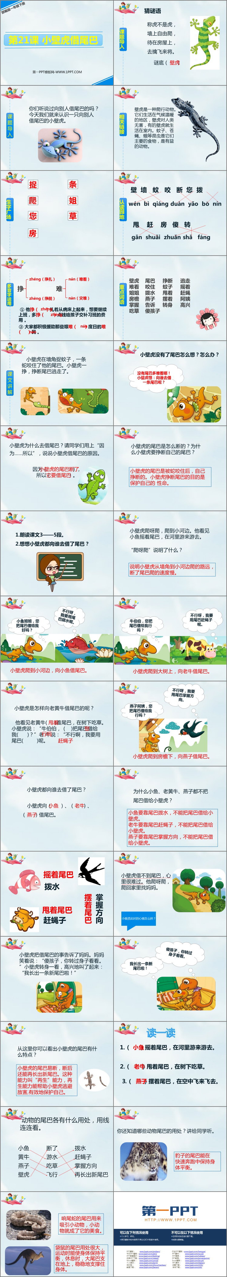 图片[2]-《小壁虎借尾巴》PPT免费课件-第一PPT