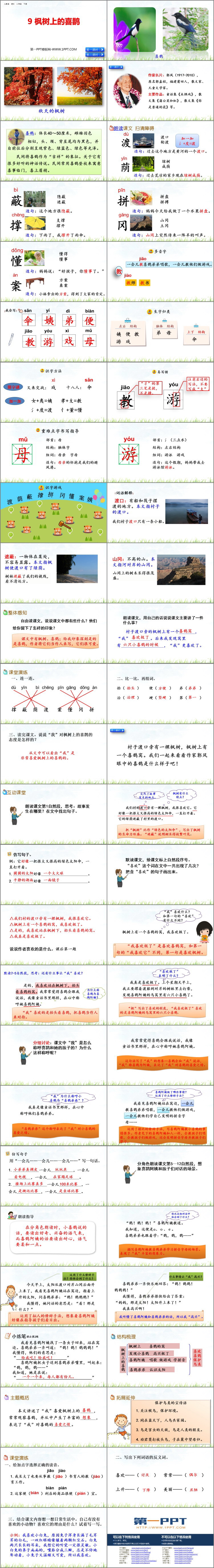 图片[2]-《枫树上的喜鹊》PPT免费课件-第一PPT