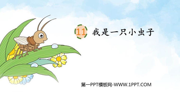 图片[1]-《我是一只小虫子》PPT精品课件-第一PPT