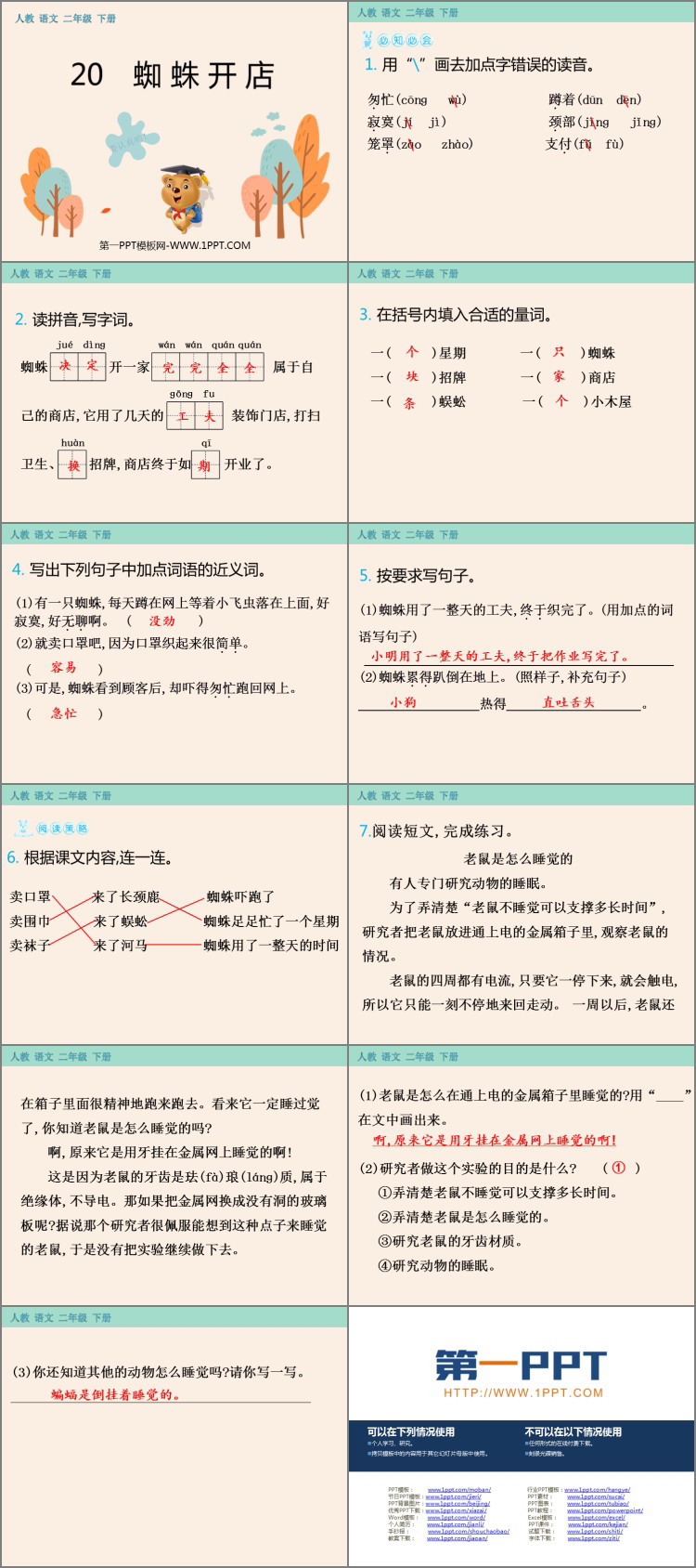 图片[2]-《蜘蛛开店》PPT精品课件-第一PPT