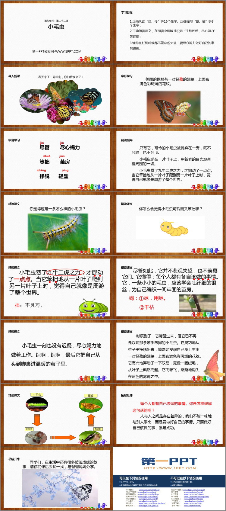 图片[2]-《小毛虫》PPT精品课件下载-第一PPT