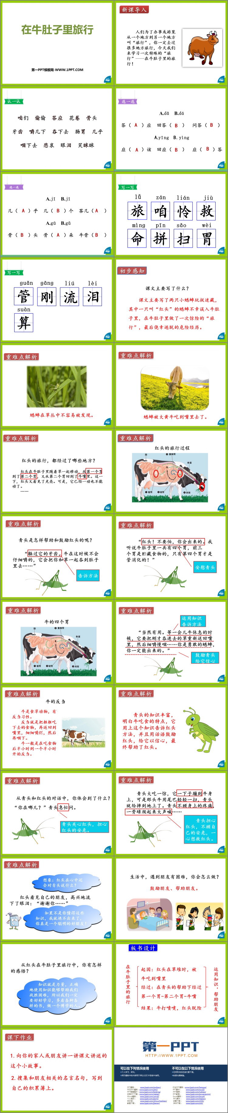 图片[2]-《在牛肚子里旅行》PPT优秀课件下载-第一PPT