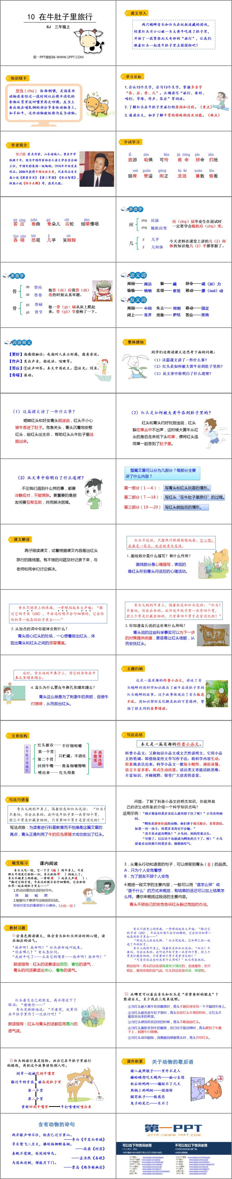 图片[2]-在牛肚子里旅行-第一PPT