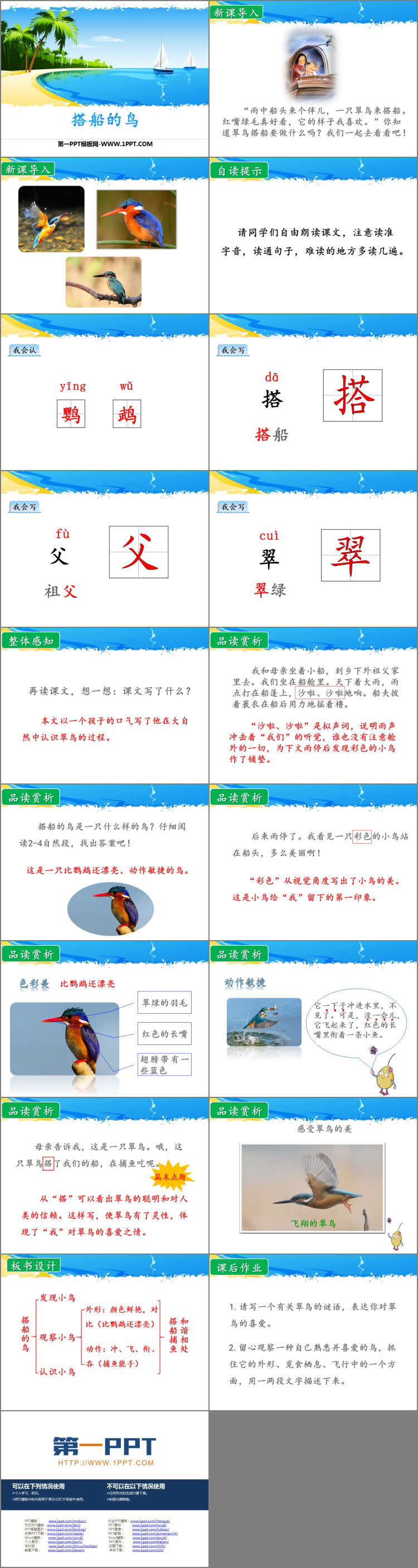 图片[2]-《搭船的鸟》PPT优秀课件-第一PPT