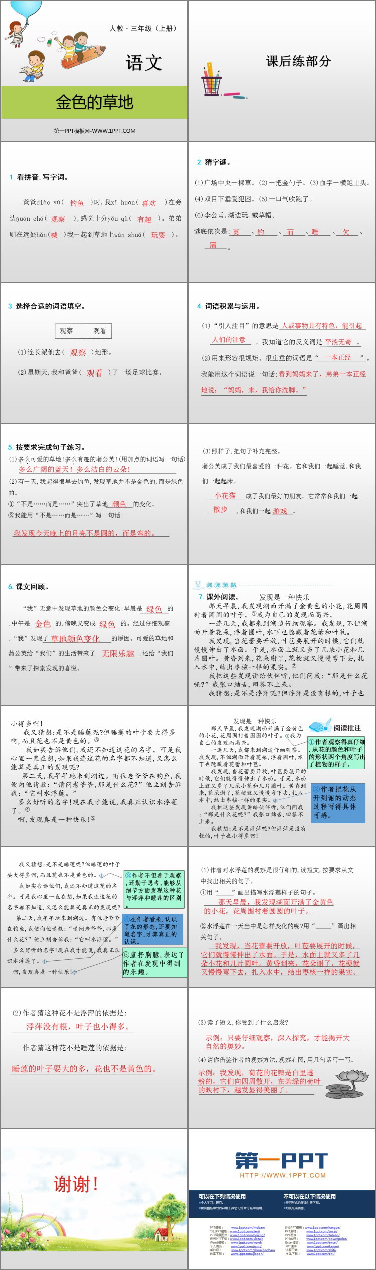 图片[2]-《金色的草地》PPT免费下载-第一PPT