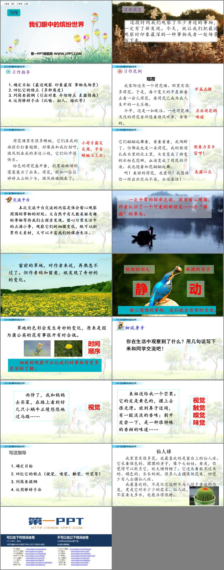 图片[2]-《习作：我们眼中的缤纷世界》PPT教学课件-第一PPT