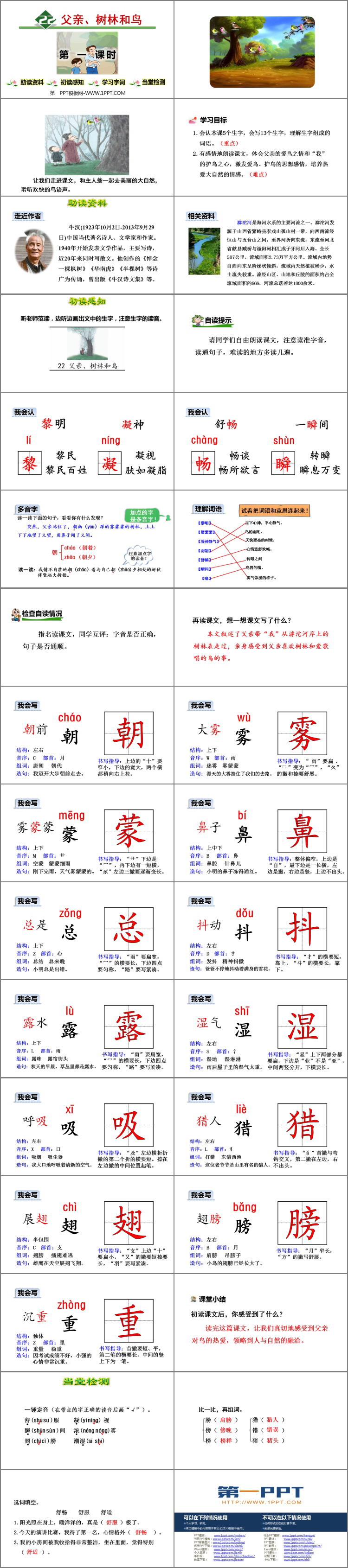 图片[2]-《父亲、树林和鸟》PPT下载(第1课时)-第一PPT
