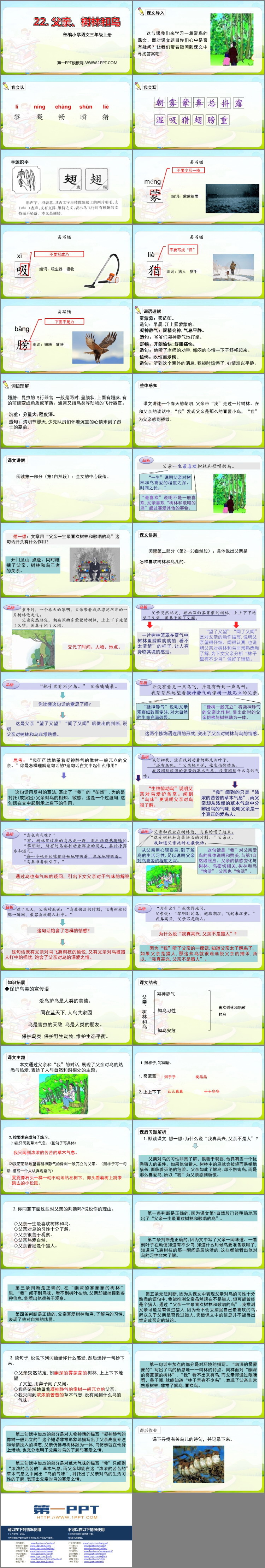 图片[2]-《父亲、树林和鸟》PPT免费课件-第一PPT
