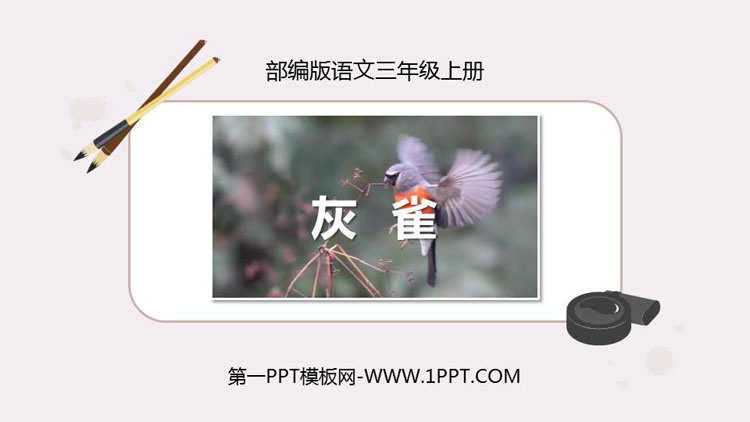 图片[1]-《灰雀》PPT免费课文课件-第一PPT