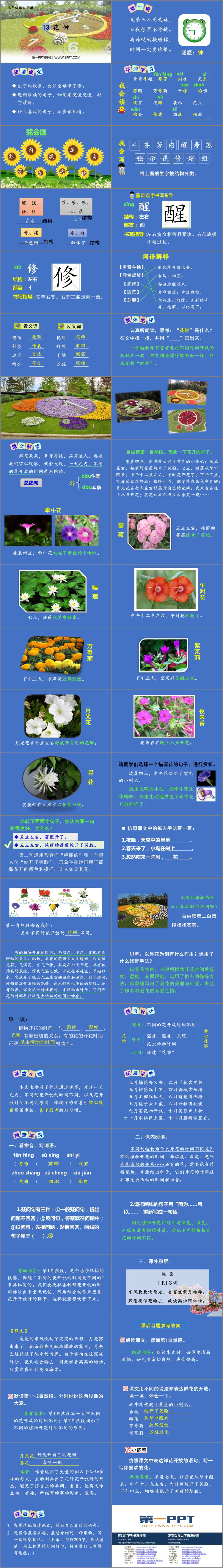 图片[2]-《花钟》PPT精品课件-第一PPT