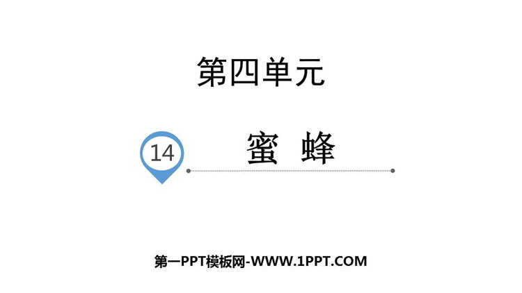 图片[1]-《蜜蜂》PPT教学课件-第一PPT