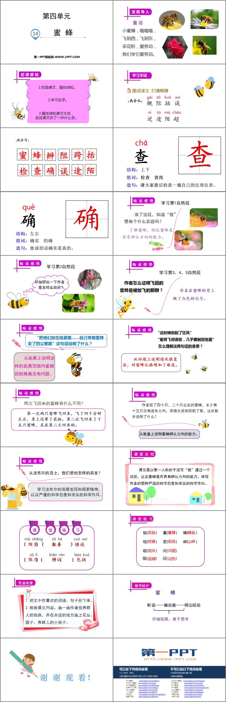 图片[2]-《蜜蜂》PPT教学课件-第一PPT