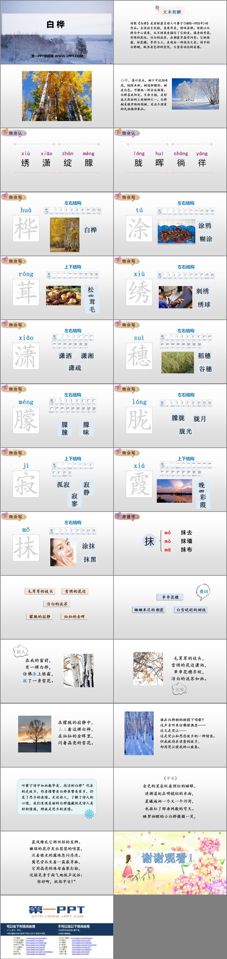 图片[2]-《白桦》PPT优秀课件-第一PPT