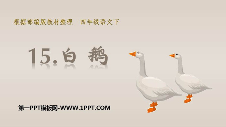 图片[1]-白鹅-第一PPT