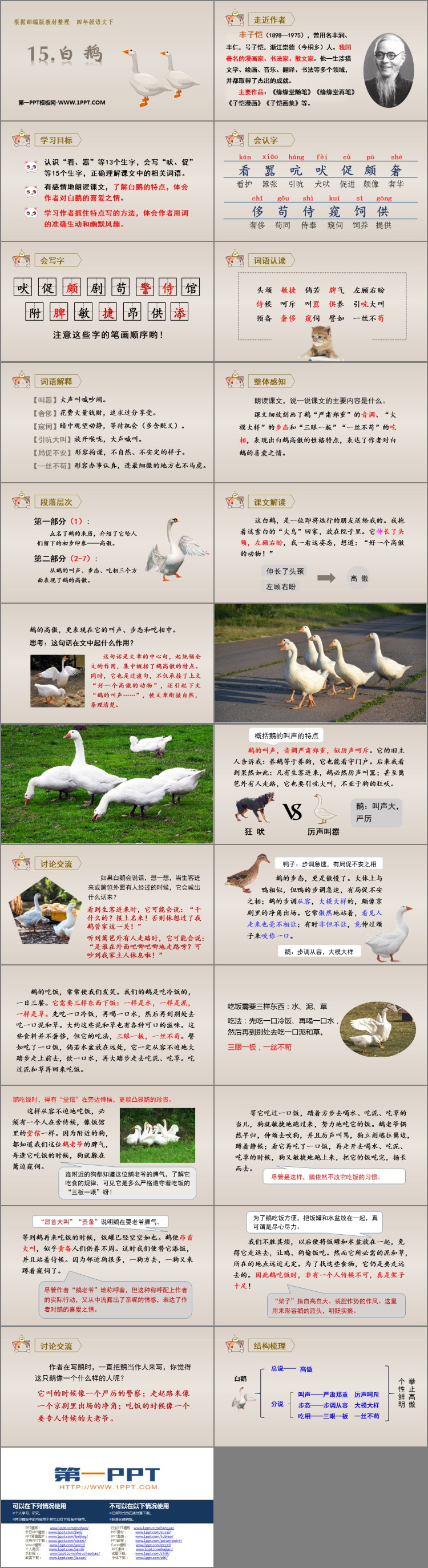 图片[2]-白鹅-第一PPT