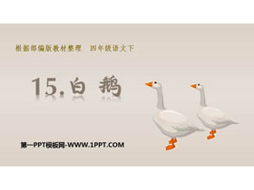 《白鹅》PPT教学课件-第一PPT