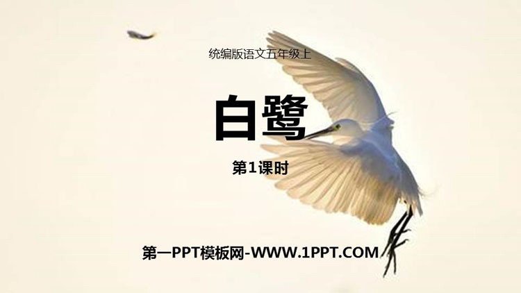 图片[1]-《白鹭》PPT课件(第1课时)-第一PPT