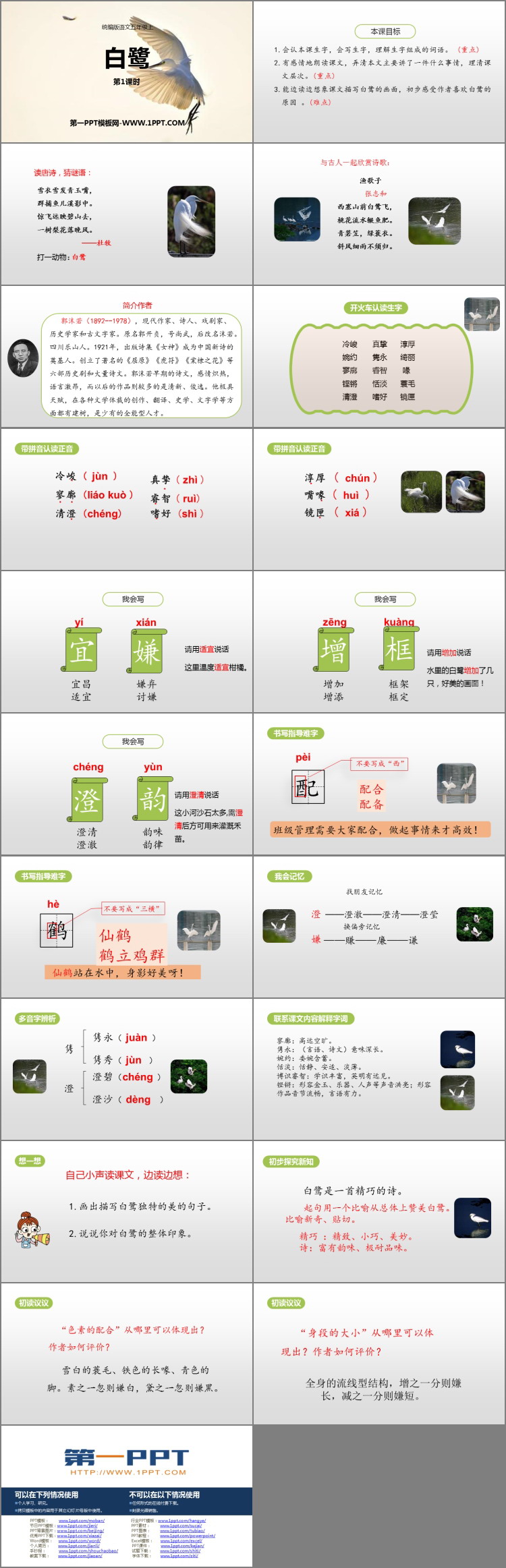 图片[2]-《白鹭》PPT课件(第1课时)-第一PPT