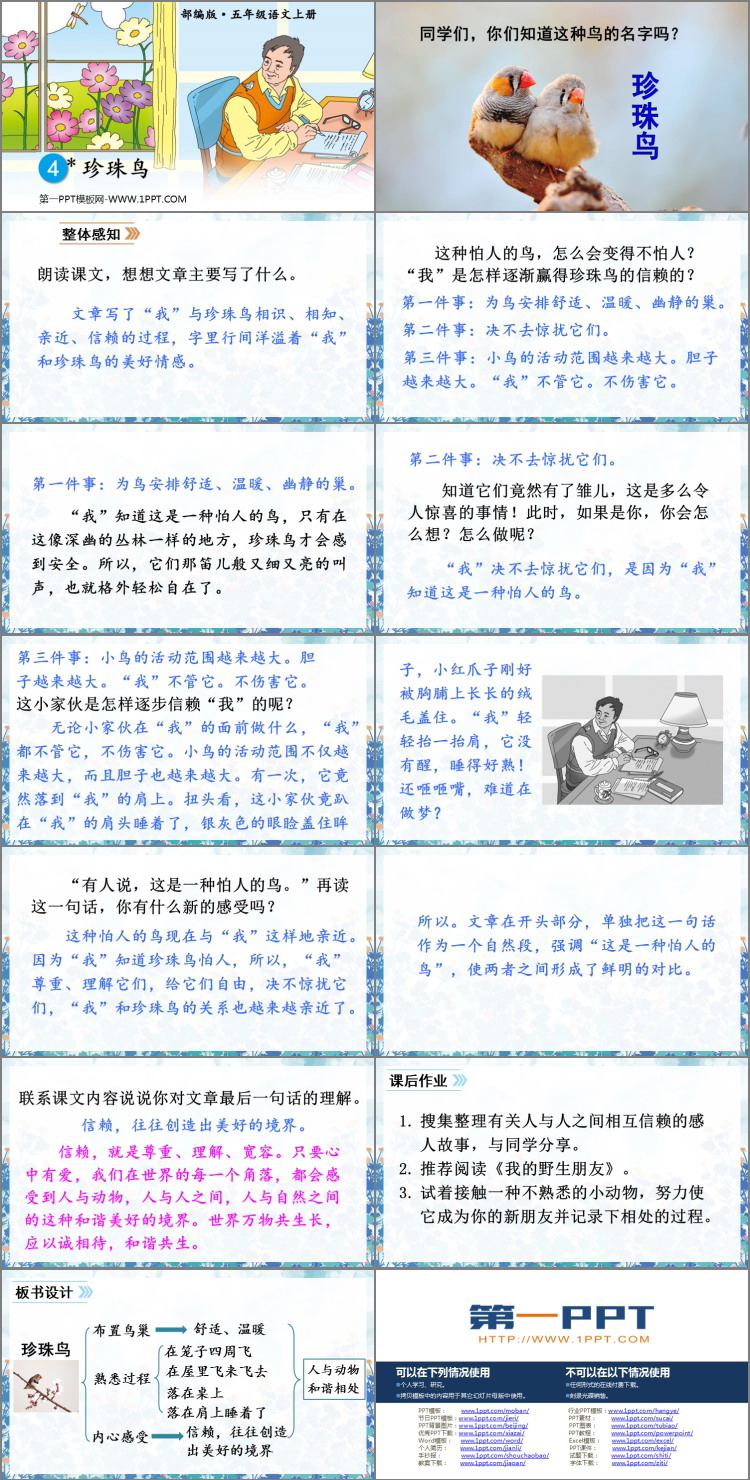 图片[2]-《珍珠鸟》PPT课文课件-第一PPT