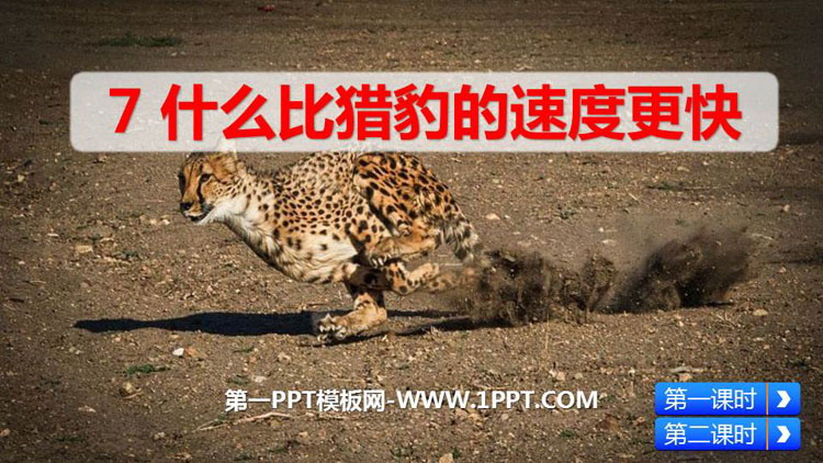 图片[1]-《什么比猎豹的速度更快》PPT课文课件-第一PPT
