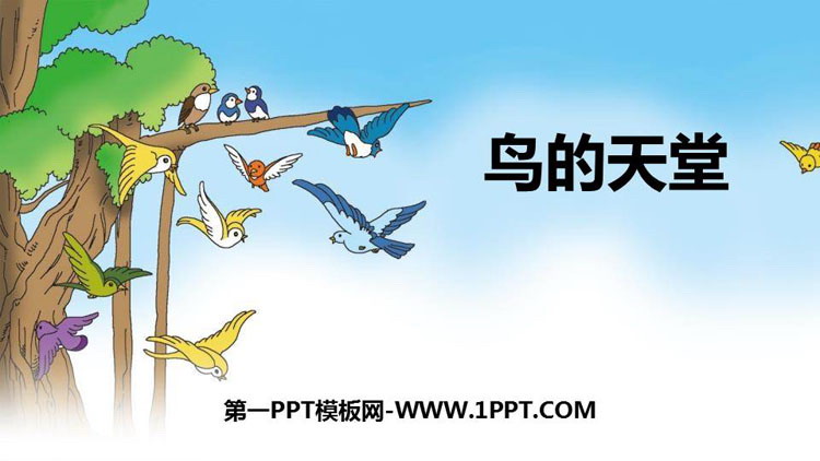图片[1]-《鸟的天堂》PPT课件免费下载-第一PPT